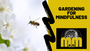How Do you Make a Mindful Garden